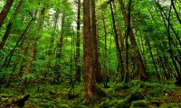 世界登山青年导师结营评估报告：能力指数上升显著，登山专家