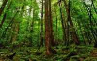 世界登山青年导师结营评估报告：能力指数上升显著，登山专家