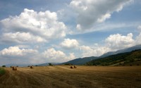 世界田径路跑锦标赛 10公里项目竞争尤为激烈，田径十公里世界纪录